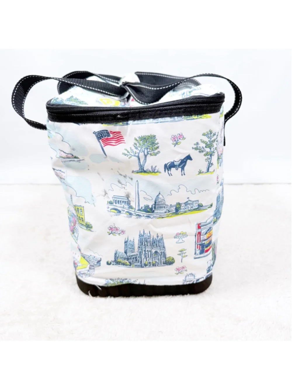 SCOUT The Stiff One Large Soft Cooler Washington DC Pattern Insulated Picnic Bag